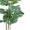5ft. Potted Monstera Deliciosa Tree by Ashland®